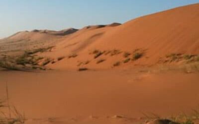 Sounds of the Namib Desert – with !Khwa ttu