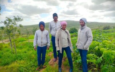 Fynbos @ !Khwa ttu – plant knowledges in the Cape Floral Kingdom