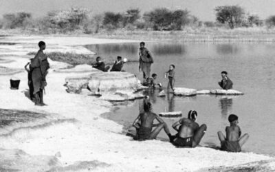 Bringing back the archive: Kalahari San explore the Marshall archive